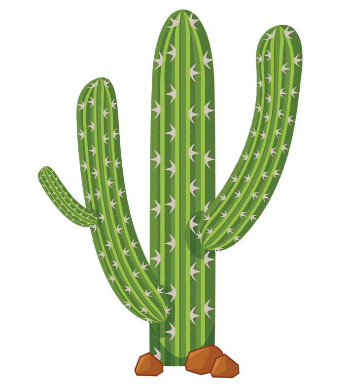 Gr&uuml;ner Kaktus mit drei Armen und kleinen wei&szlig;en Stacheln, auf braunen Steinen stehend.